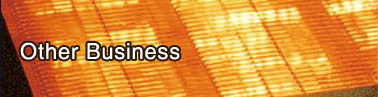 Other Business