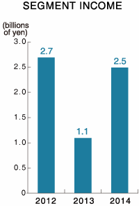 SEGMENT INCOME