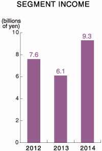 SEGMENT INCOME