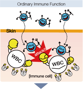 Ordinary Immune Function