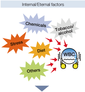 Internal/Eternal factors