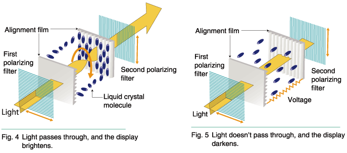 3. In parallel with liquid crystal molecules