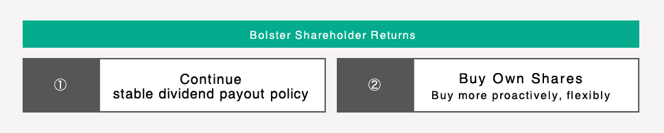 Bolster Shareholder Returns