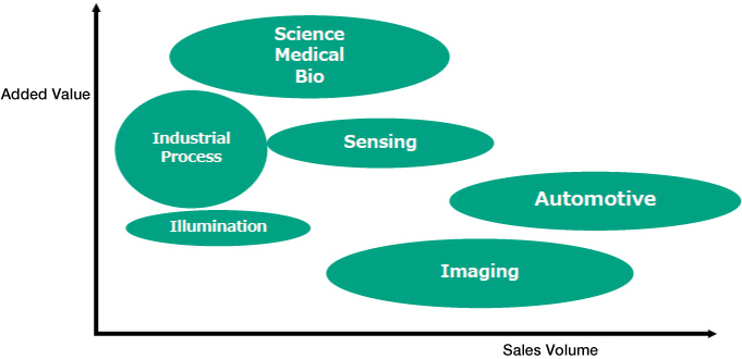 Figure: Business Domains in the Solid State Light Source Business