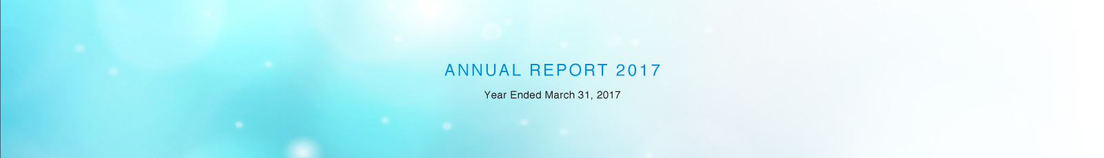Annual Report 2017/Year ended March 31, 2017