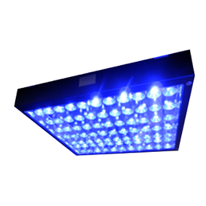 Uv Led Uniform Surface Illumination Light Source Unifield