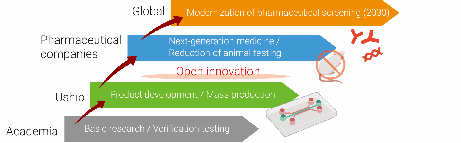 OoC: Providing a Platform to Speed up Drug Development