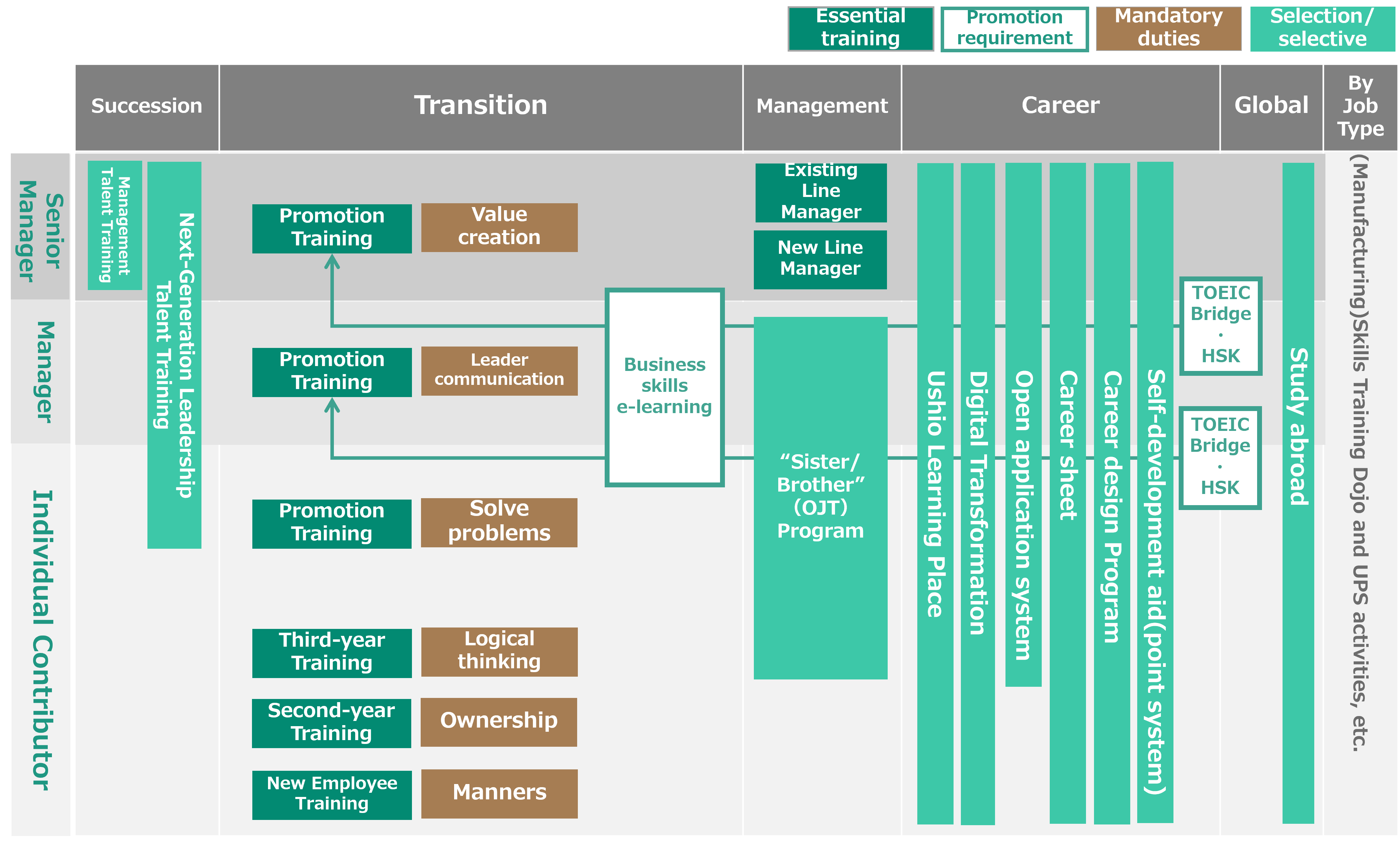 Development and Training System