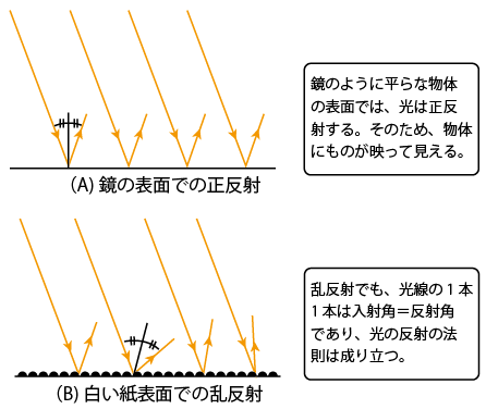 正反射 ウシオ電機