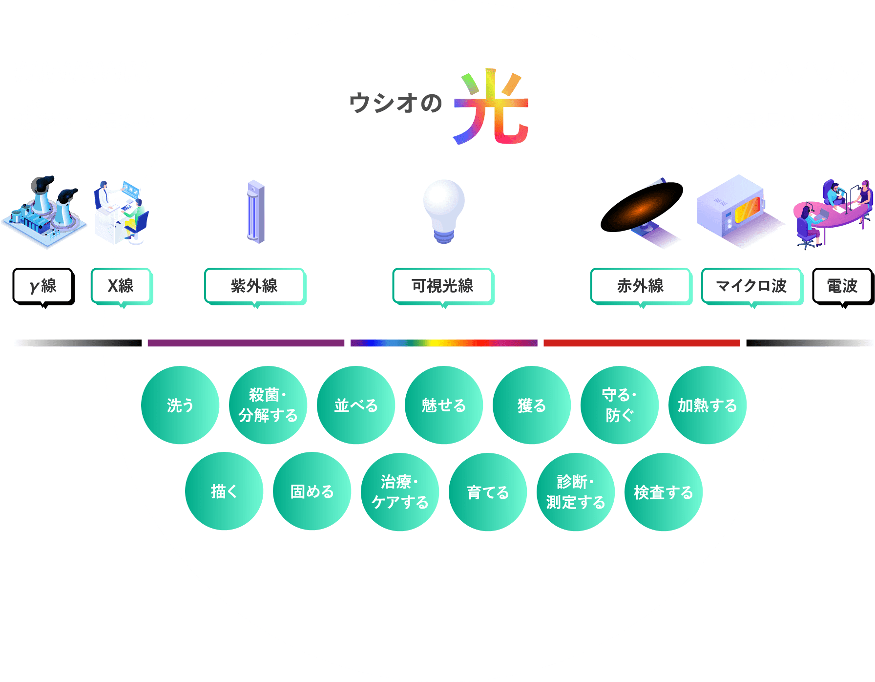 ウシオの光