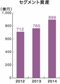セグメント資産