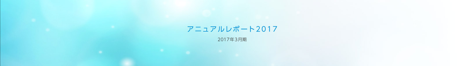 アニュアルレポート2017／2017年3月期