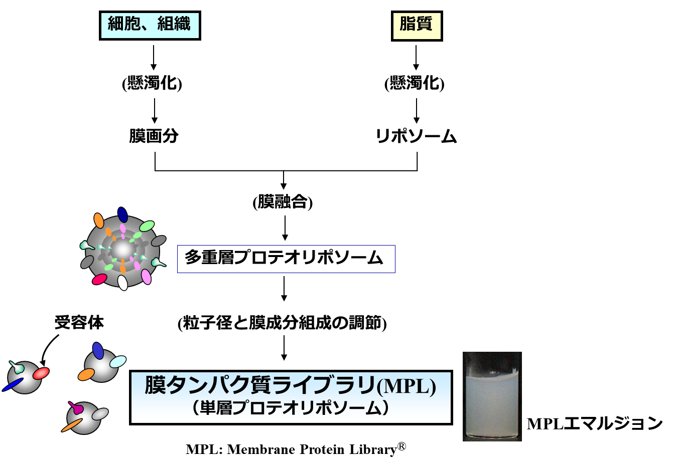 実践篇】自閉症療育マニュアル 総集編【前篇】 / 受容的交流療法