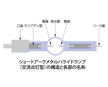 メタルハライド