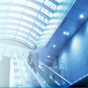 일반 조명용 등